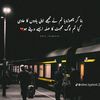 shahizaibbaloch02838