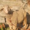abuzar.khan2456