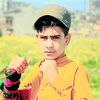 aehsan529