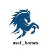 asaf.129