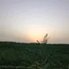 b__we9