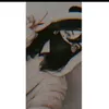 user5247133938120