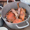 nhando5581