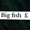 big.fish16