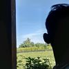 rf_dirun