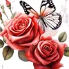 user2613244501561