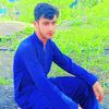 user68121523828808
