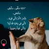 user569343490951