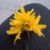 laura_q130