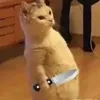 lamlphat