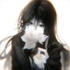 softluna02