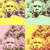 user9704308003609