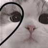 _ariana_20q53