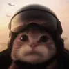 defndrofchrsts0