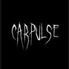 carpulse_editsz