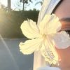 khaoula.bab8