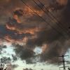 petrovich._52
