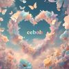 ceboh702