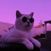ggrast_pubg