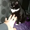 niko34063