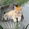 mimikikifilou