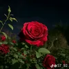 .jafarjafar0660