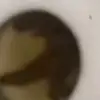 lkz777_666
