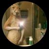 user2339600800072