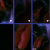 pamela_123.prez.l