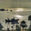 mourad.bibitou