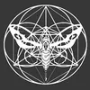 Nightwave Nexus
