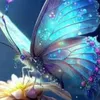 salma.nouri922
