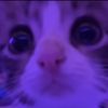 mittens_00