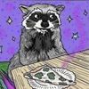 immaraccoonforrealz