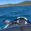 tyleratkinson54