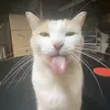 its_normal_to_be_insane