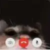 brooklynmcd77
