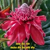mailyly031