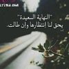 user7033947080121