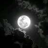 user9171041810095