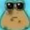 pou.amostradinho