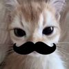 marcelawater