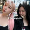 2ningegiselle