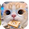 cillaa299