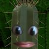 yourcactusbuddy