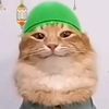 .wnida8