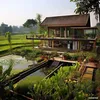 nguyenpham1910153075