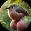 ditconcucuocdoi8