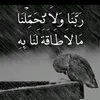 user5039181587722