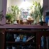 su.su.mar071